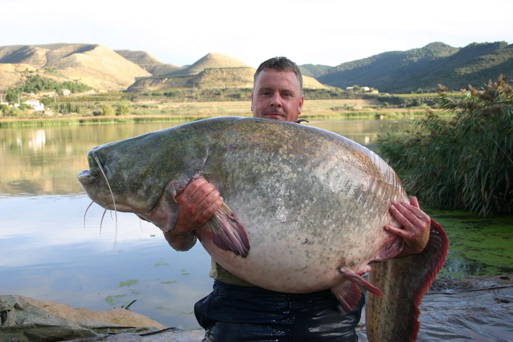 Colin Bunn holding a large catfish with a river in the background