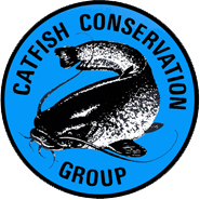 Ebro Expert - Catfish Conservation Group Member